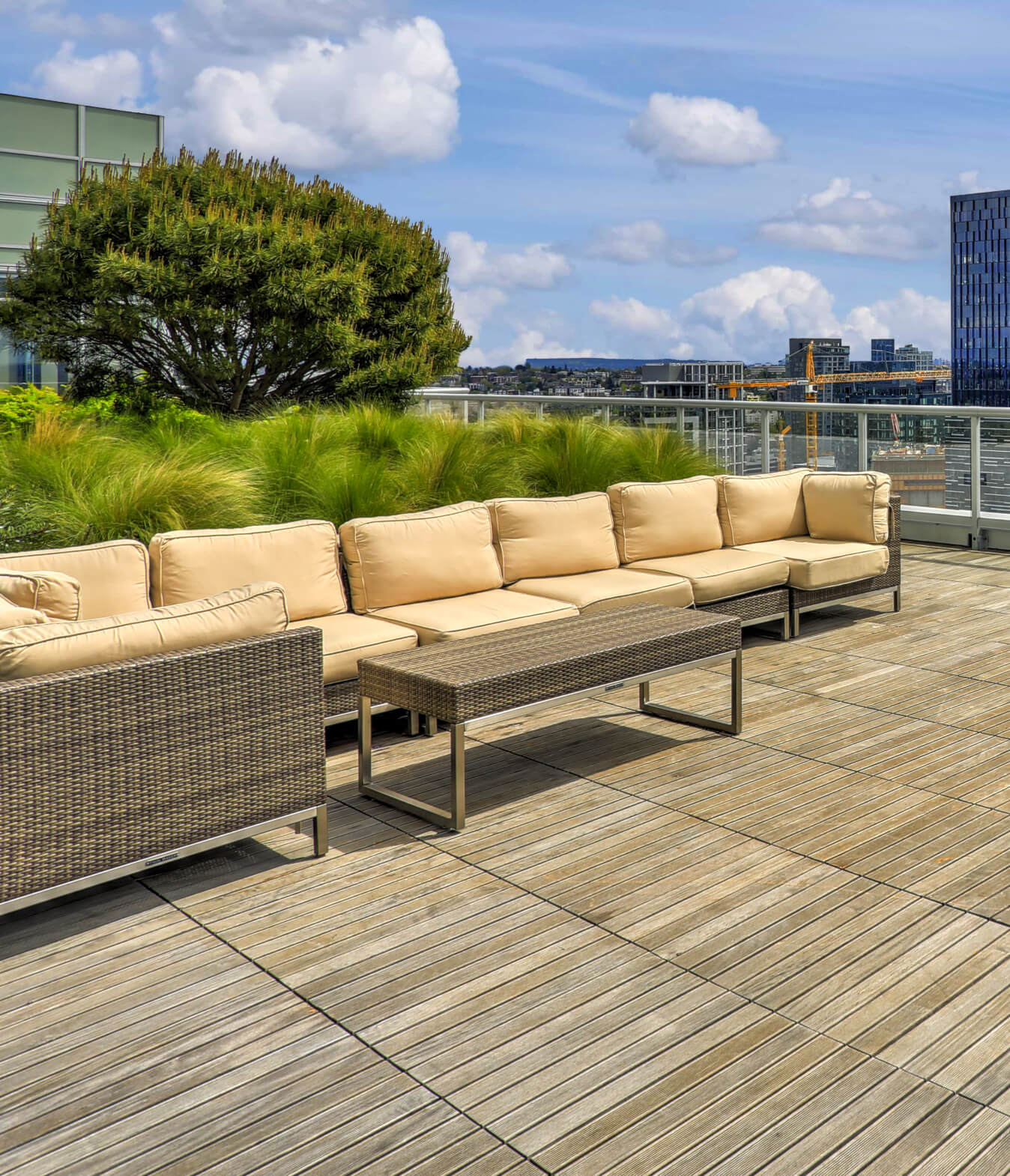 Outdoor rooftop park and lounge area